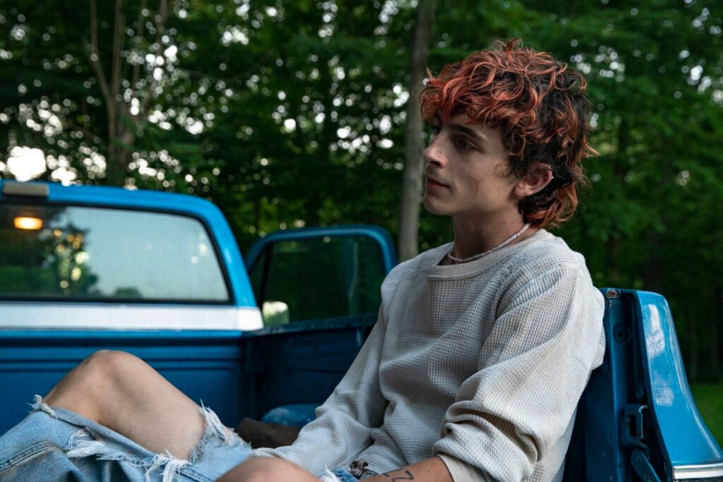 Timothée Chalamet dans le film Bones and All de Luca Guadagnino