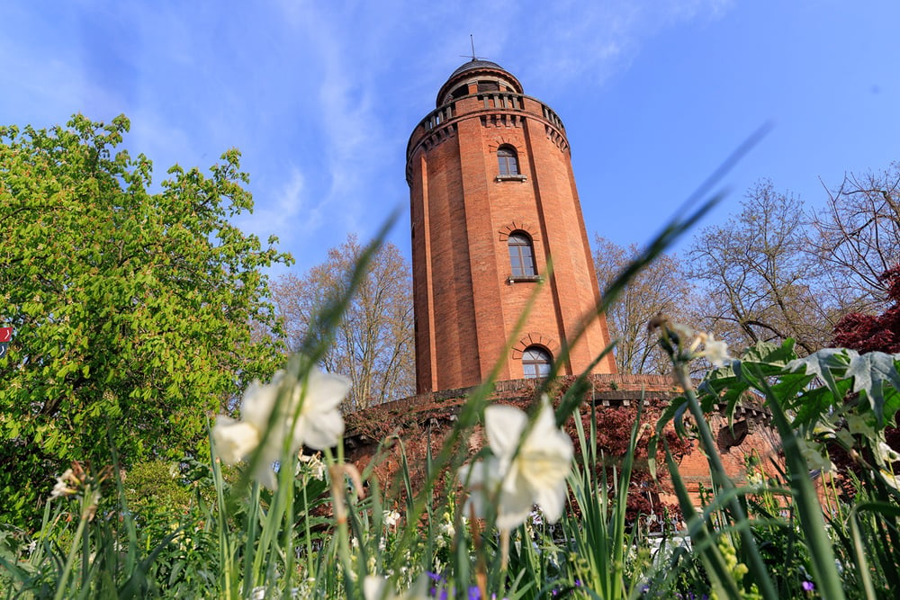 Galerie le château d'eau de Toulouse © Patrice Nin.