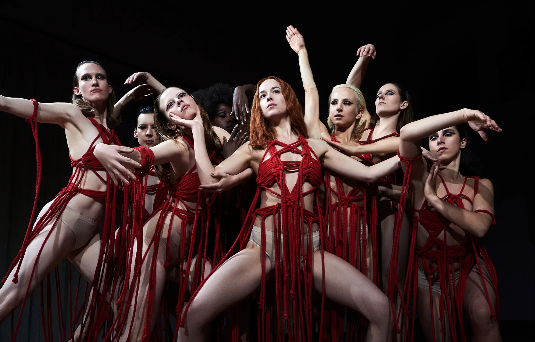 Dakota Johnson suspiria luca guadadigno