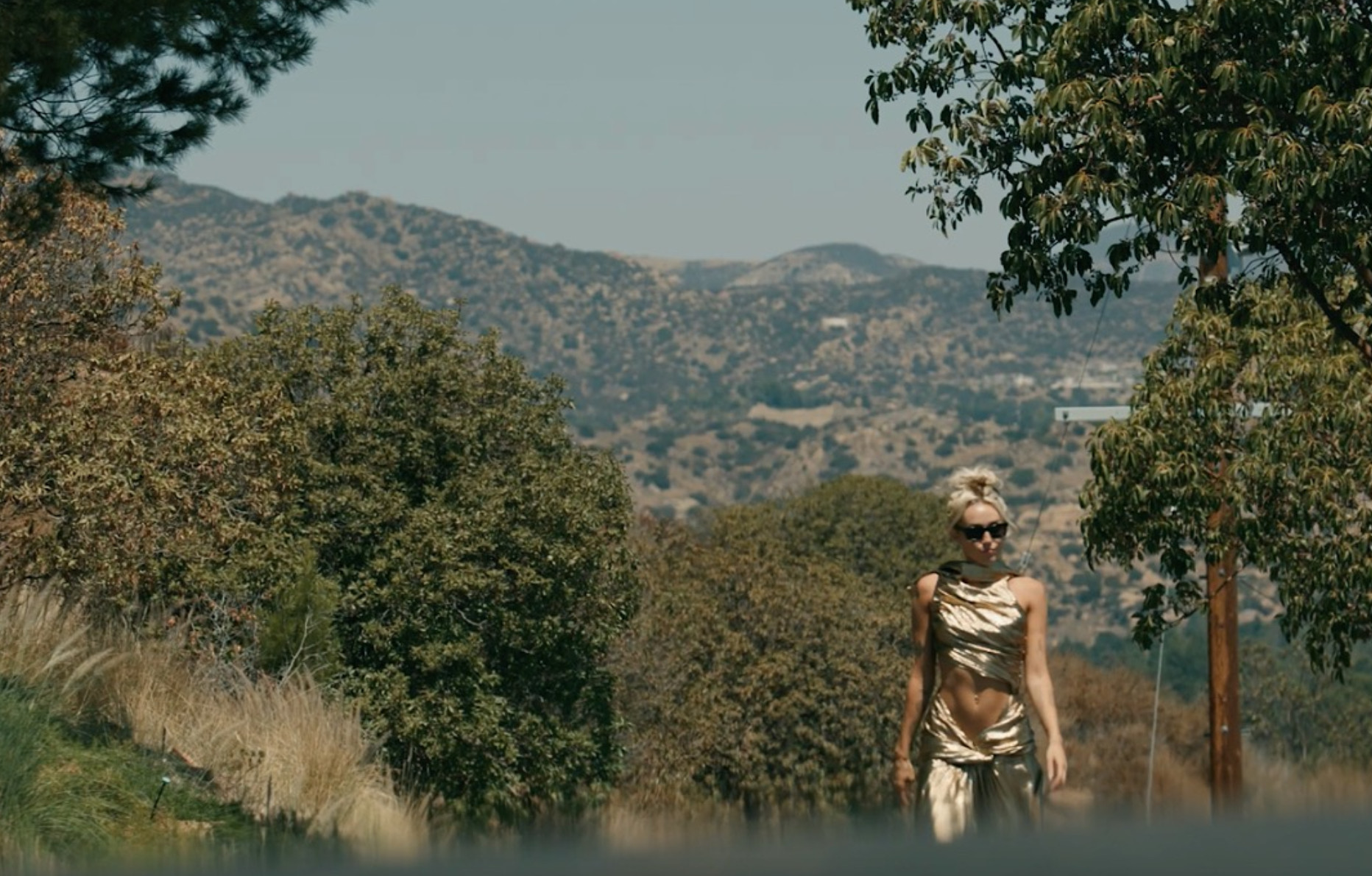 La chanteuse Miley Cyrus.