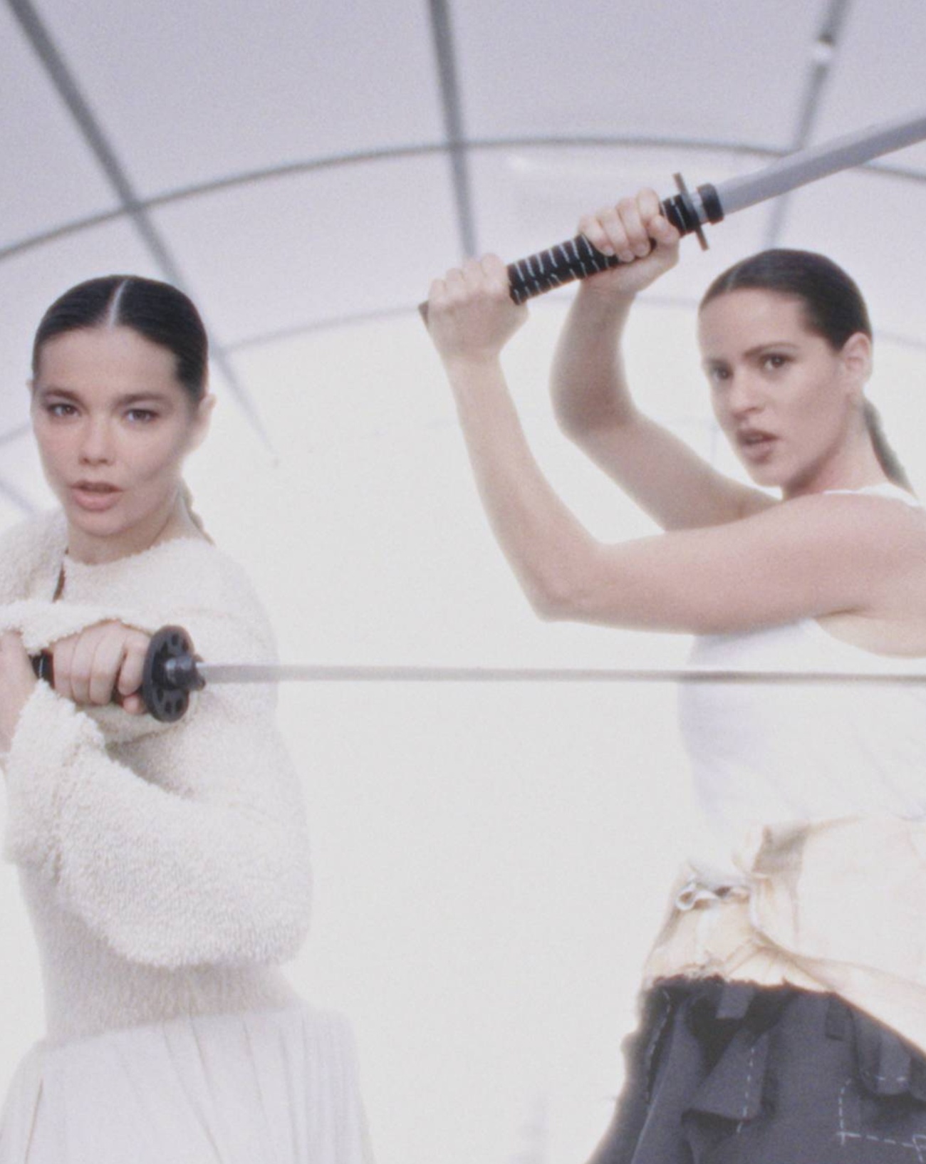 Les chanteuses Björk et Rosalía.