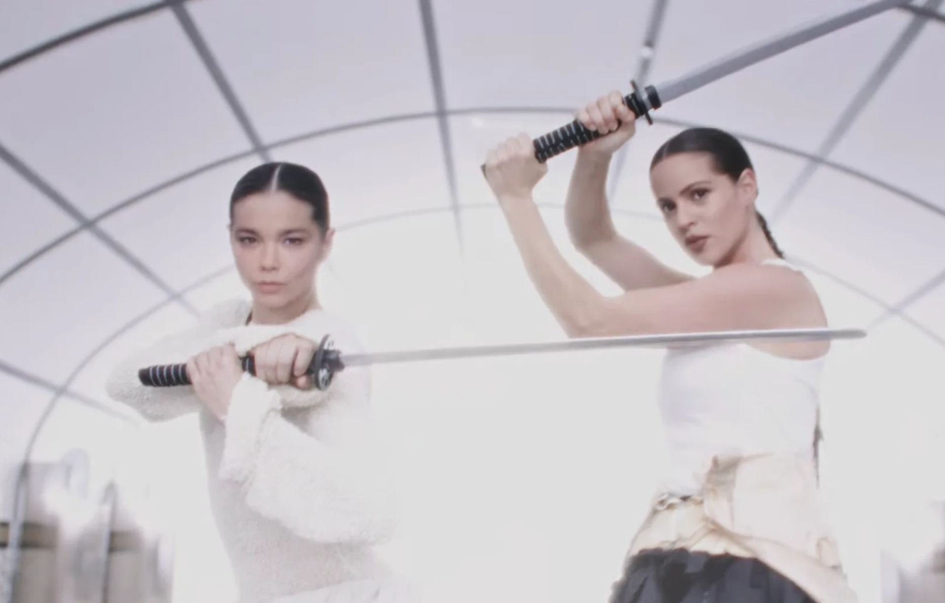 Les chanteuses Björk et Rosalía.