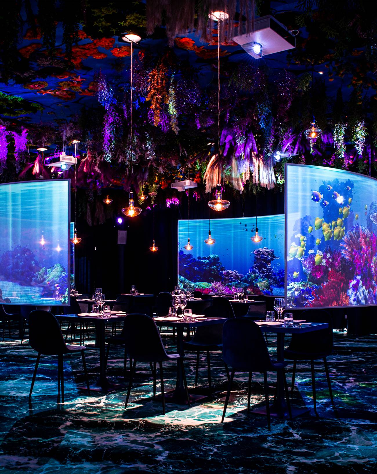 Restaurants Ephemera, Paris, Immersif, Under the Sea, Jungle, Stellar
