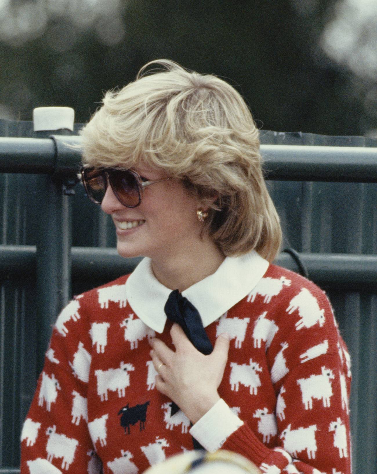 Lady Diana, Sotheby's, Sweater, Sheep, Auction, Princess, Royalty
