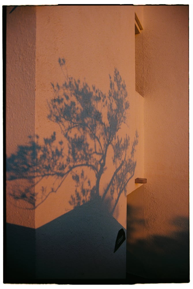 L'hôtel Carpe Diem de Cadaqués.