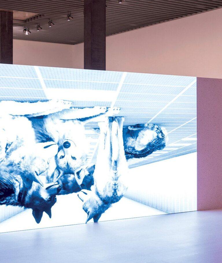 exposition-artiste-shahryar-nashat-numero-magazine