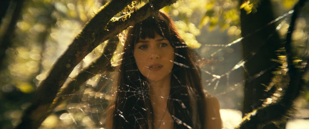 Photo de Dakota Johnson regardant la caméra avec une toile d'araignée en arrière-plan extraite du film Marvel Madame Web.