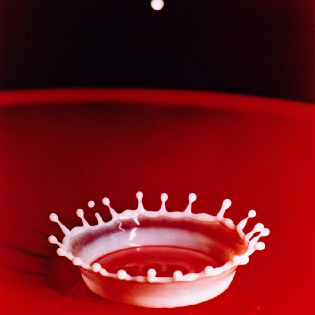 Harold Edgerton, “La goutte de lait, Milk Drop Coronet” (1957). FNAC 99617. Paris, Centre national des arts plastiques. Copyright : © The Harold & Esther Edgerton Family Foundation / Cnap.