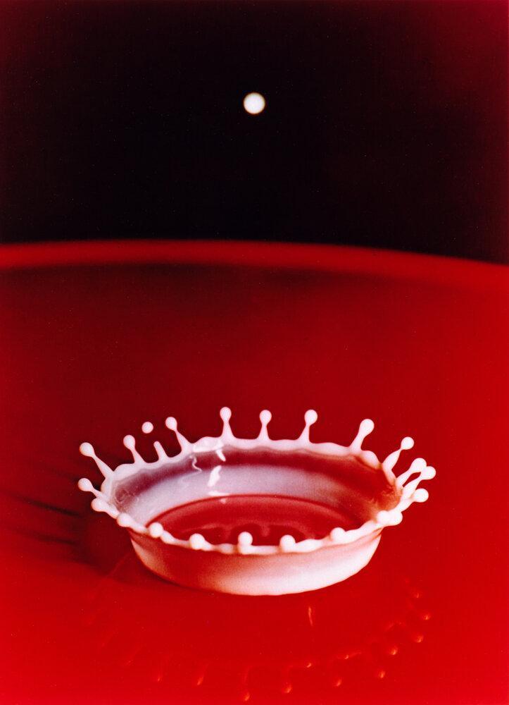 Harold Edgerton, “La goutte de lait, Milk Drop Coronet” (1957). FNAC 99617. Paris, Centre national des arts plastiques. Copyright : © The Harold & Esther Edgerton Family Foundation / Cnap.