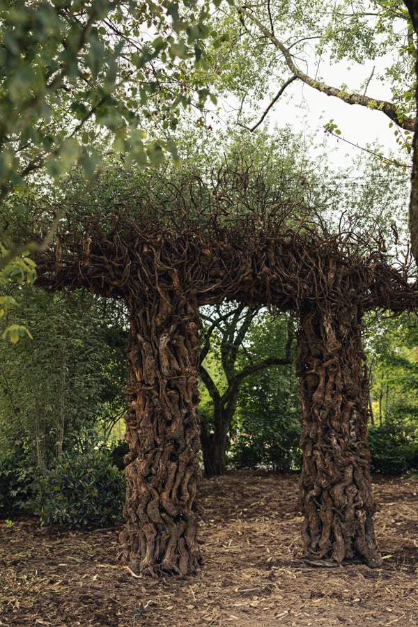 Cornelia Konrads, The Arch (2024), métal et ceps de vigne © Mathieu Bonnevie.