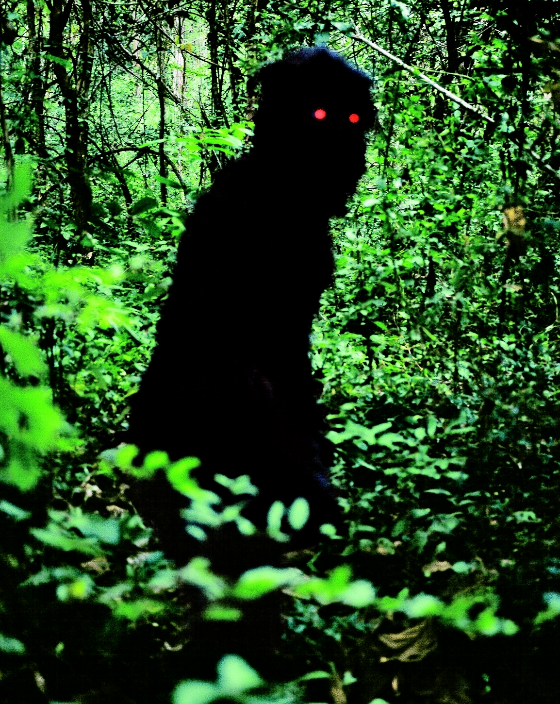 Oncle Boonmee (celui qui se souvient de ses vies antérieures), 2010 © Pyramide - Apichatpong Weerasethakul - Festival d’automne - Centre Pompidou - Oncle Boonmee - Tropical Malady