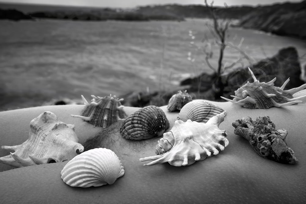 © Joan Fontcuberta, Residencia artistica InCadaqués, La Persistència de la carn, 2024.