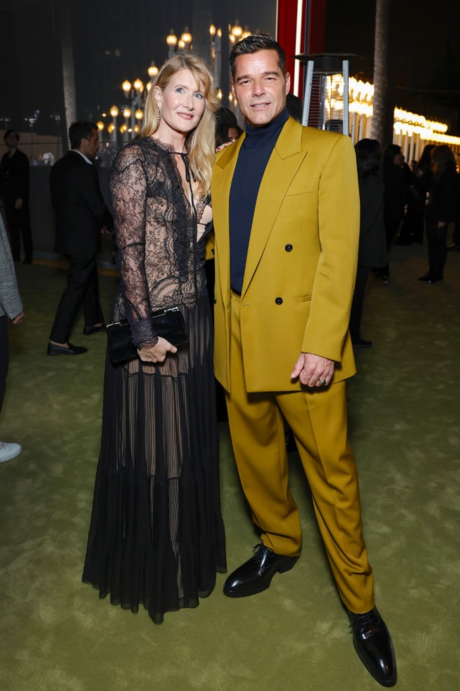 laura dern ricky martin lacma 12024