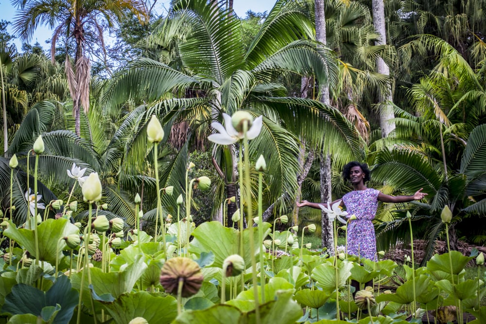 Kama La Mackerel, Waterlillies I, de la série Rompre la promesse du vide tropical : subjectivité trans dans la carte postale, 2019 © Nedine Moonsamy - paris photo 2024 - exposition trans*galactique