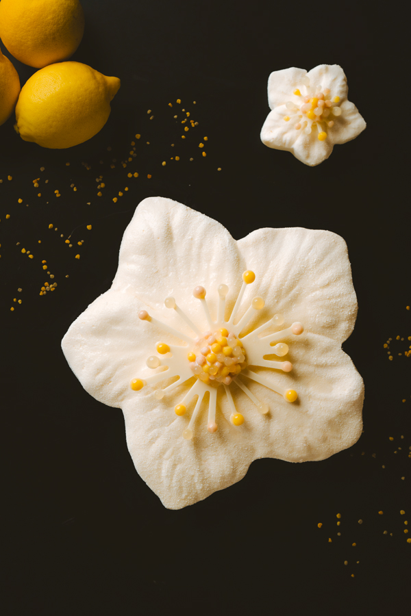 La bûche du Royal Champagne Hotel & Spa