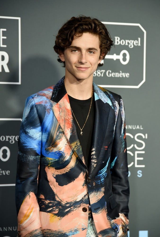 Timothée Chalamet à Santa Monica en 2019 © Presley Ann/FilmMagic.