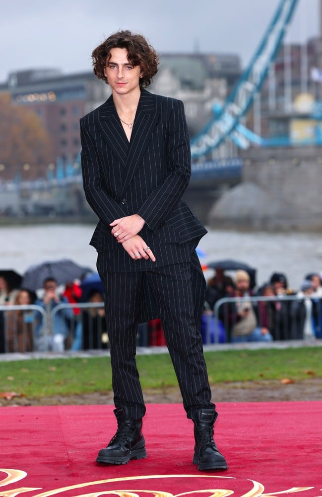 Timothée Chalamet en costume Alexander McQueen à Londres en 2023 © David M. Benett/Dave Benett/WireImage. 