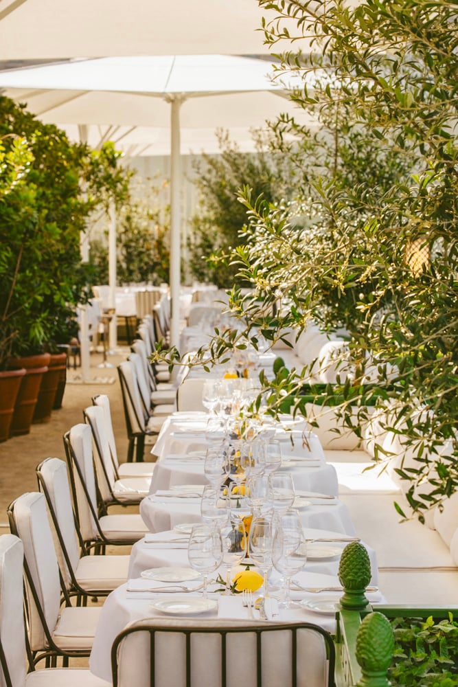 La terrasse verdoyante de Loulou dans le jardin des Tuileries.