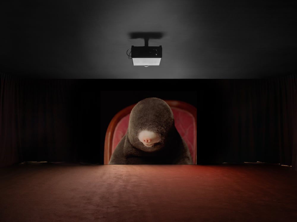 vue de l'installation vidéo de Diego Marcon, Dolle (2023 à la Sadie Coles HQ, Londres