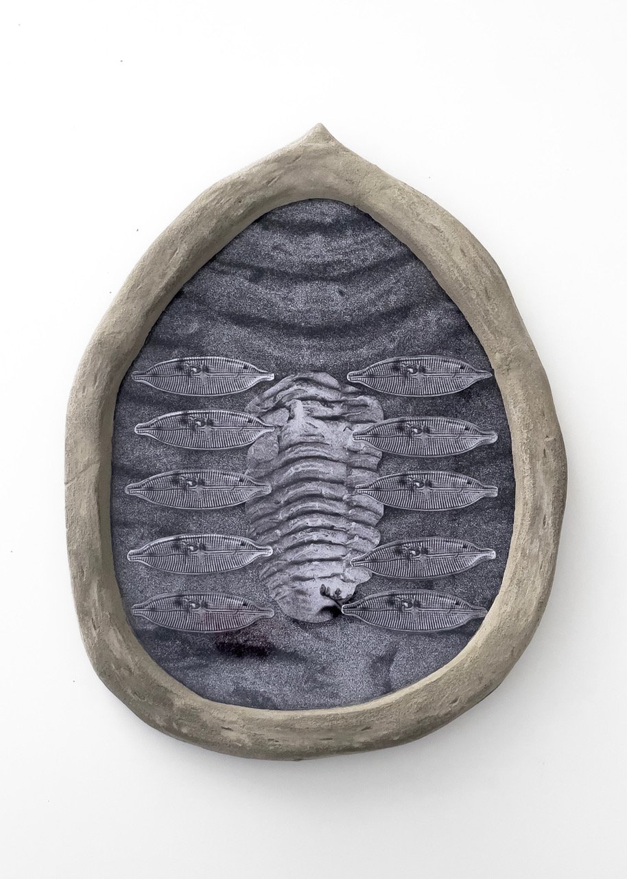 Karina Mendreczky, Cells à la Ani Molnár Gallery
