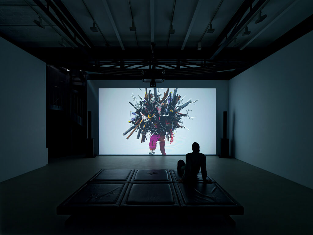 Vidéo des artistes Caroline Poggi et Jonathan Vinel. Vue de l'exposition 1000 milliards d'images chez Reiffers Art Initiatives, Paris.