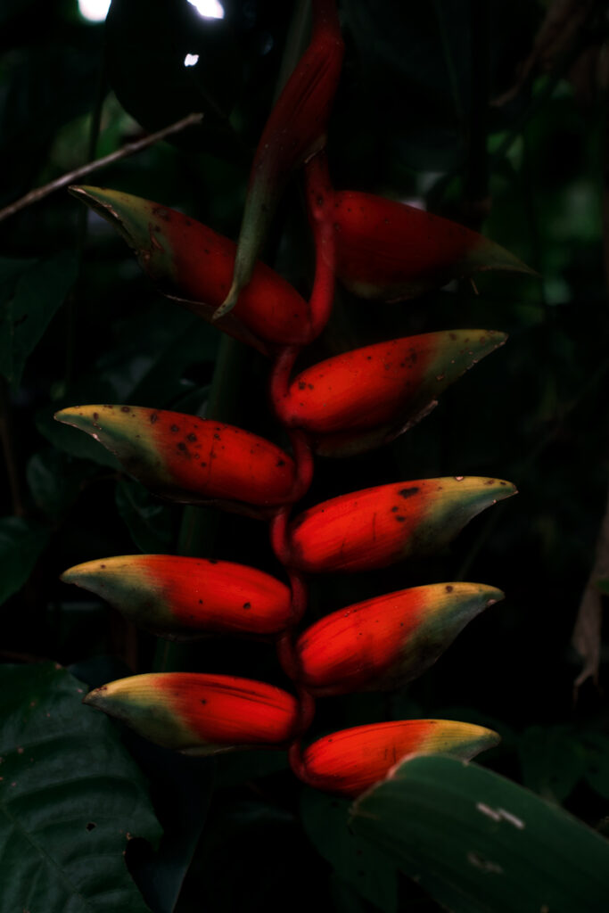 L'artiste Lucas Arruda photographié par Vidar Logi au Brésil pour Numéro art.