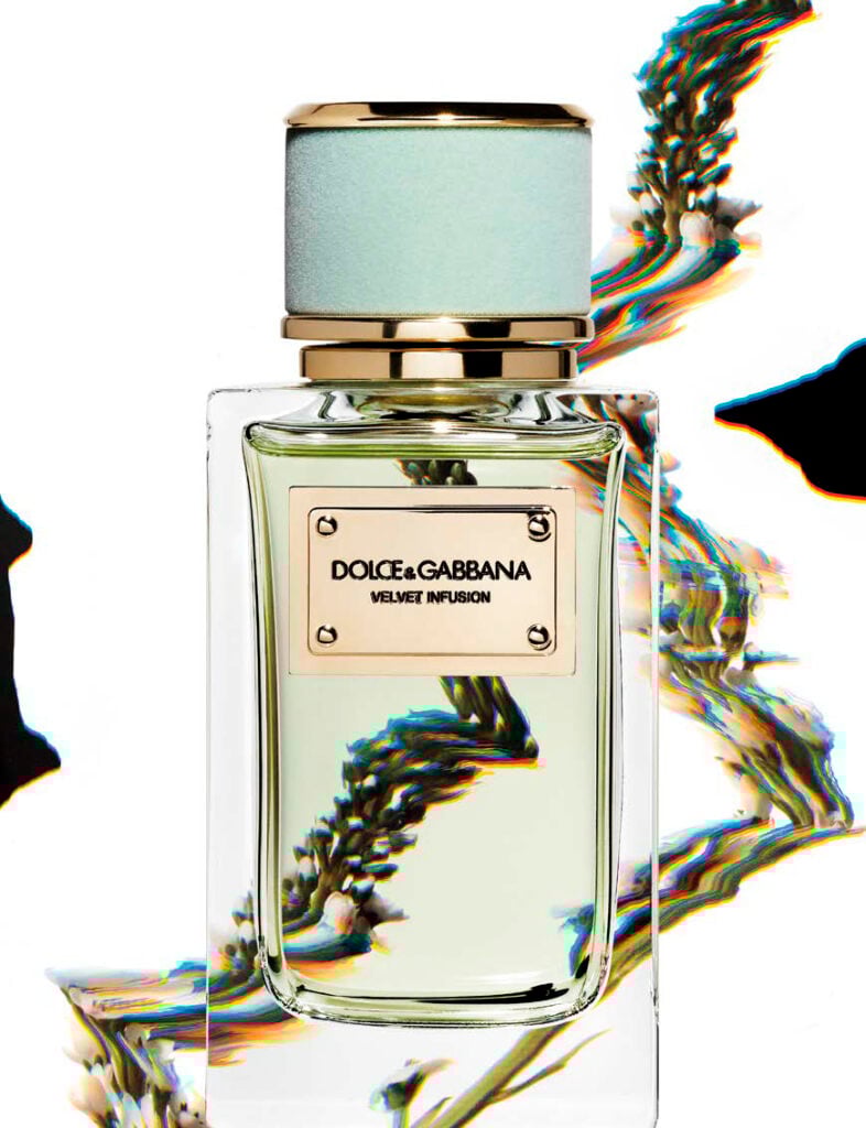“Velvet Infusion”, eau de parfum, collection Velvet, DOLCE & GABBANA.