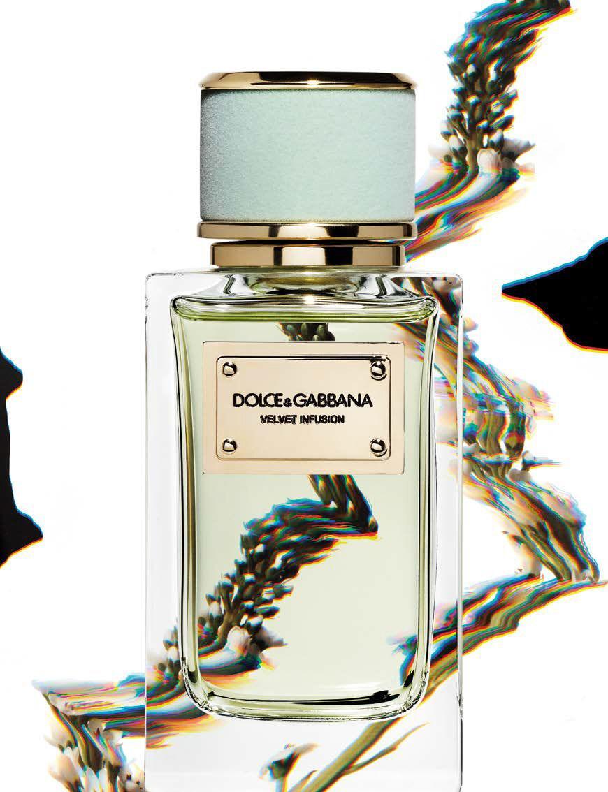 “Velvet Infusion”, eau de parfum, collection Velvet, DOLCE & GABBANA.