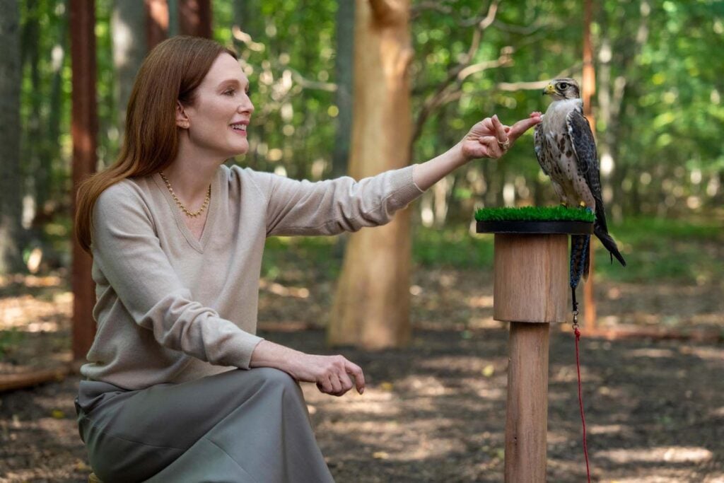 Julianne Moore starring in the series Sirens.