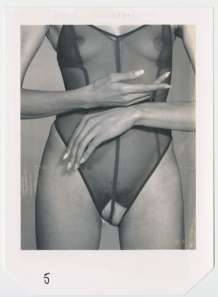 Polaroid de Donna Trope