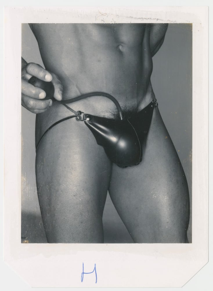 Polaroid de Donna Trope
