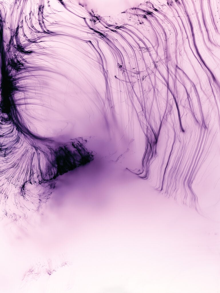 Wolfgang Tillmans, “It’s Only Love Give It Away” (2005)