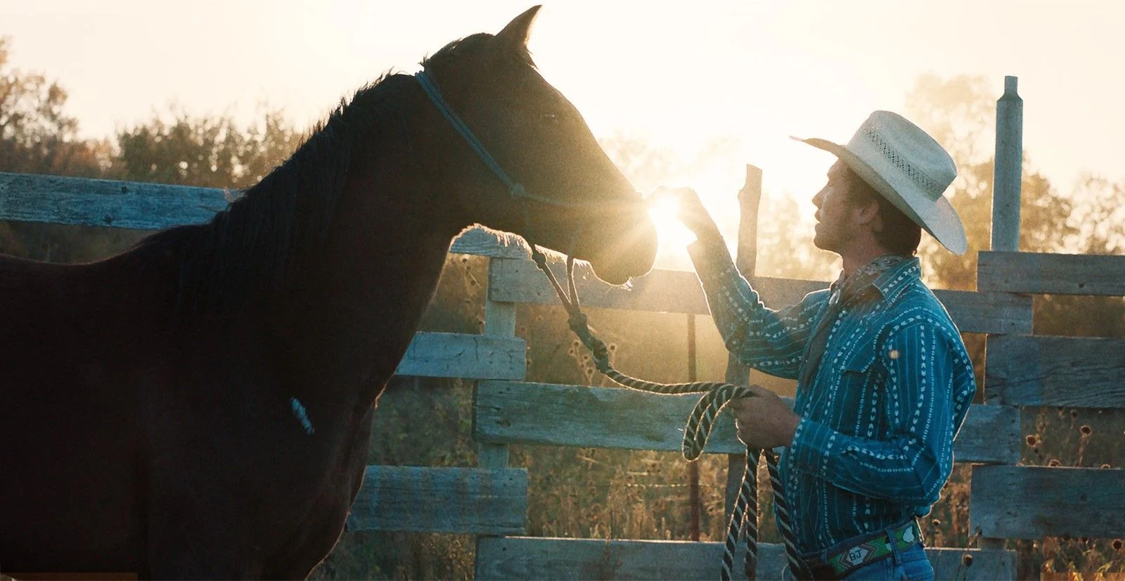 Photo de l'acteur Brady Jandreau dans le film The Rider (2018) de Chloé Zhao.