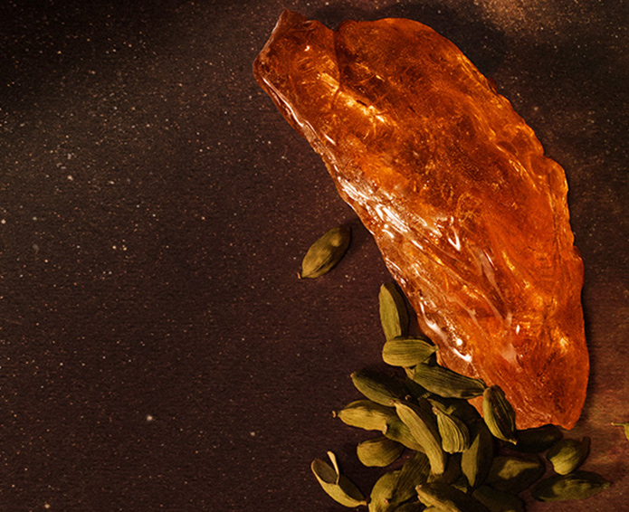 Aesop, Above Us Steorra, eau de parfum