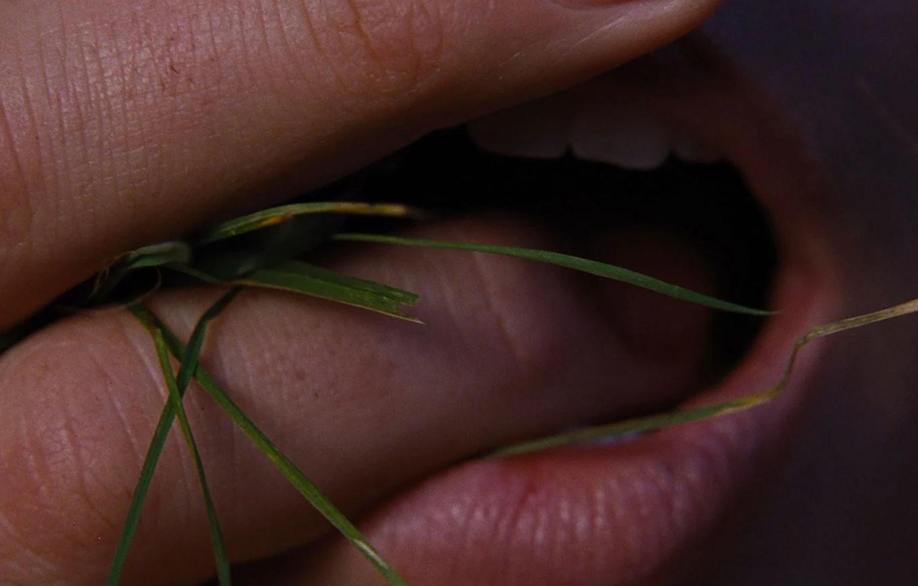 Margot Robbie dans le film Hurlevent.