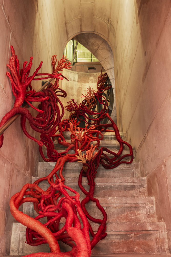 exposition “Aude Franjou. Coraux de la liberté”, du 4 au 13 septembre 2025 à la Colonne de Juillet pour la Paris Design Week