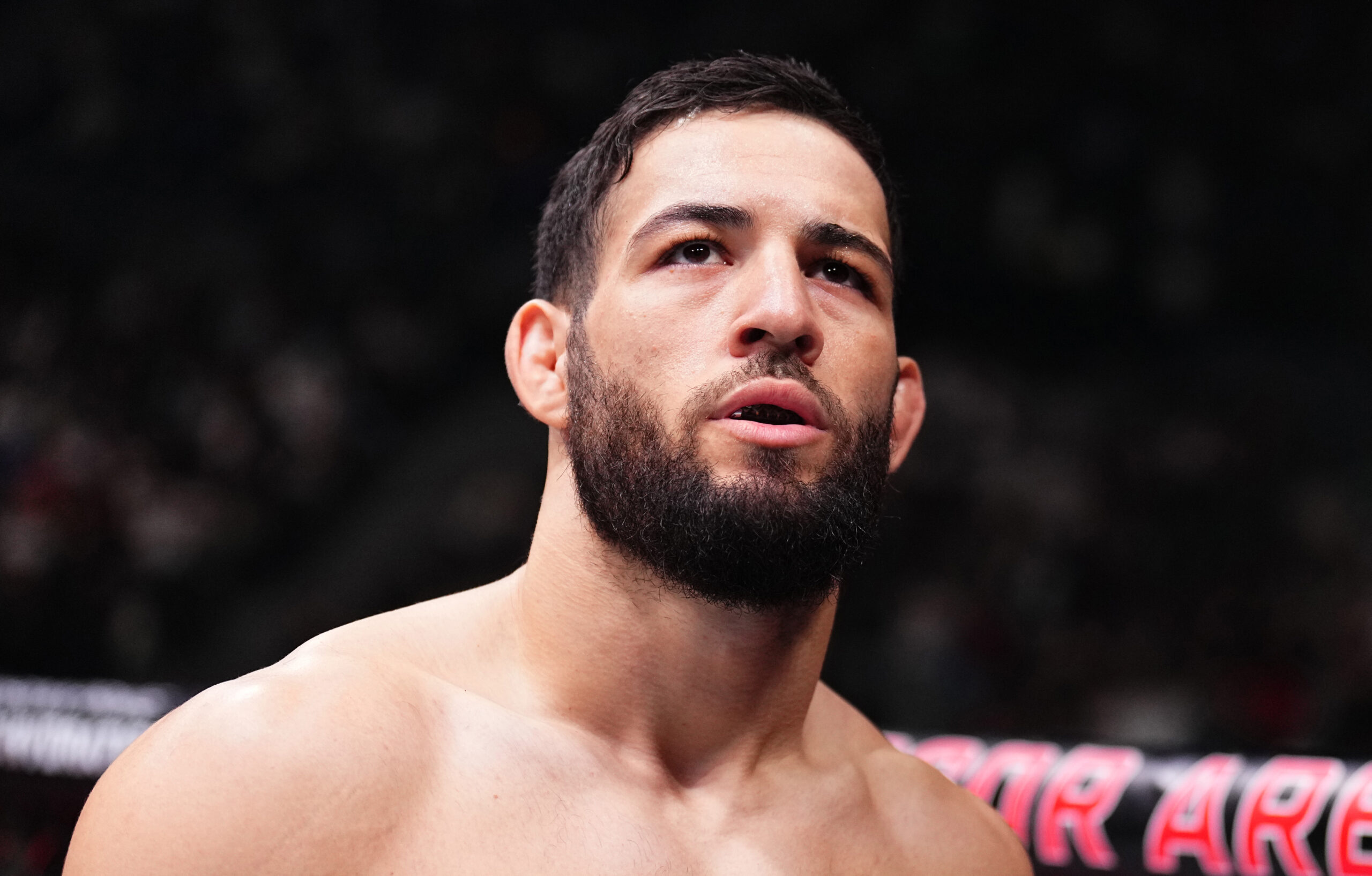 Photo du combattant Nassourdine Imavov à son combat contre Brendan Allen lors de l'évènement UFC Fight Night à Paris en 2024.