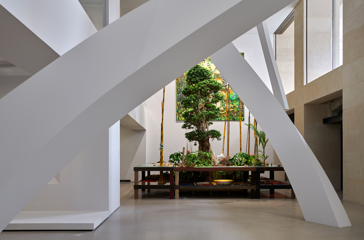 fondation cartier Junya Ishigami Luiz Zerbini