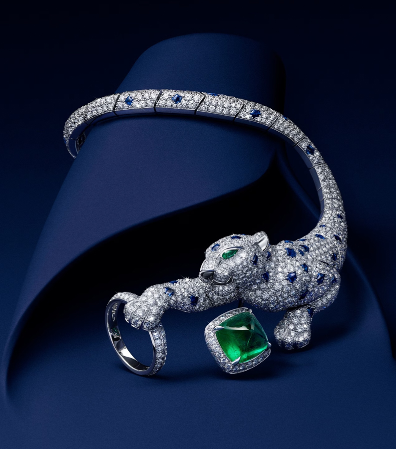 cartier nature sauvage 