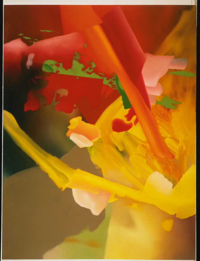 Gerhard Richter, exposition à la Fondation Louis Vuitton, Paris