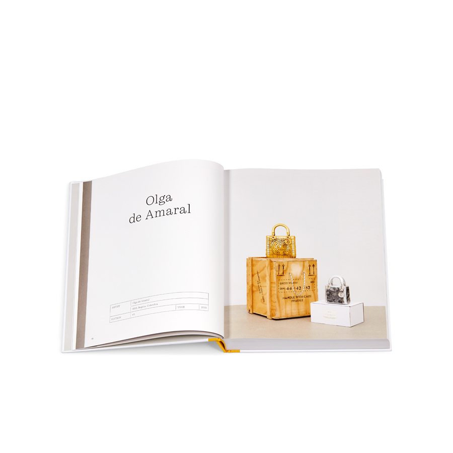 livre dior lady art