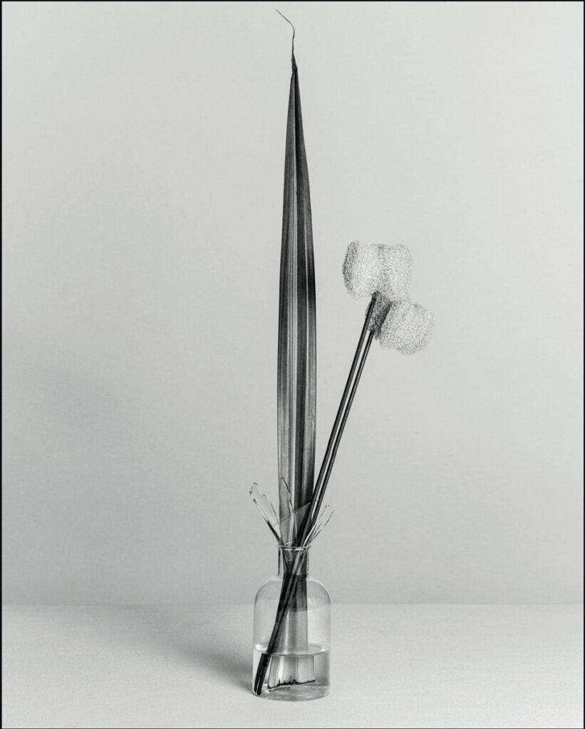 Luigi & Iango série Minimal Maximal pour Numéro art