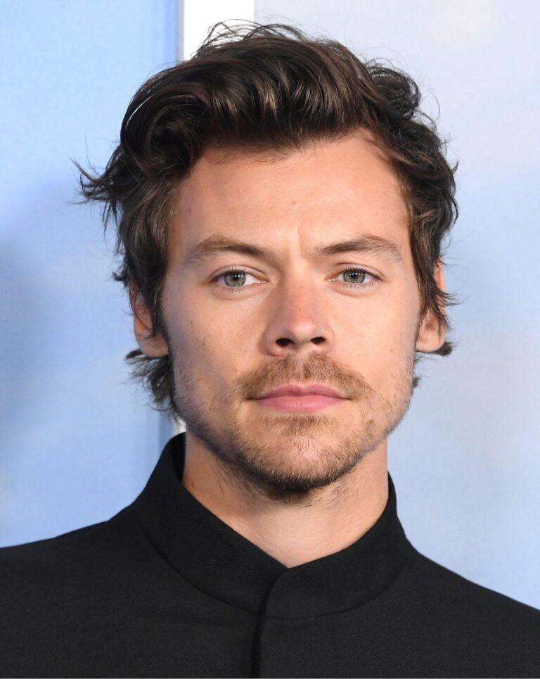 Le musicien Harry Styles devenu acteur (Dunkerque, Don't Worry Darling)