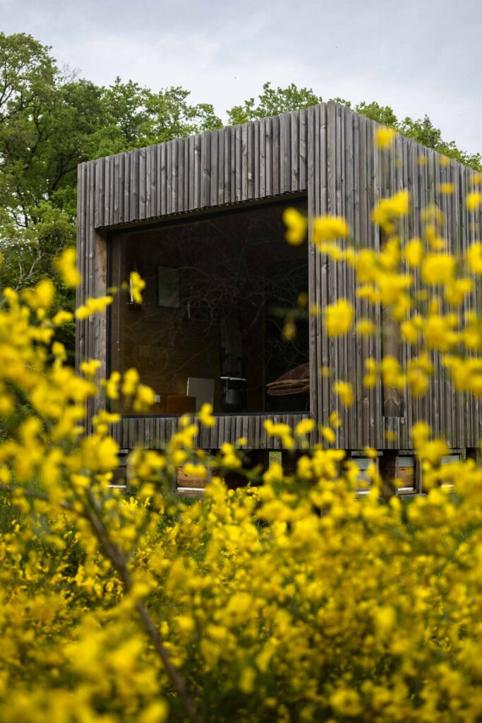 cabane perchée dans les bois en touraine de l'hôtel Loire Valley Lodges
