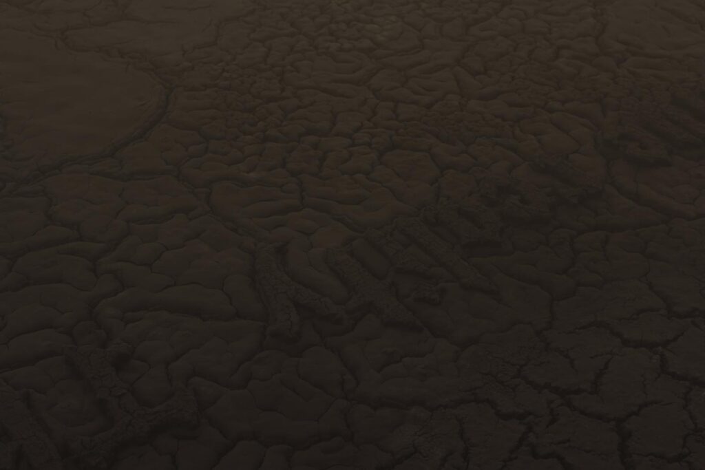 Korakrit Arunanondchai. The blood of the earth au Consortium