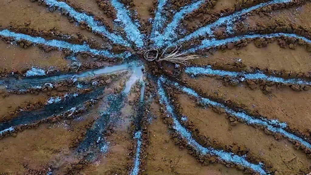 Mohammad AlFaraj, The Date-Fruit of Knowledge (2022) Stop-motion video, sound (13’), sand. Still from the video Produced with the support of Arts AlUla and AFALULA © Mohammad AlFaraj. Courtesy of the artist and Mennour, Paris