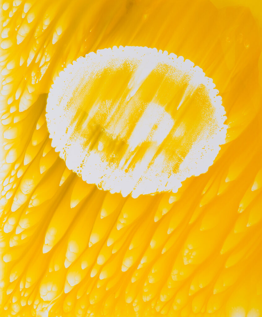 tit Matin_Expanded drops©Christelle Boulé