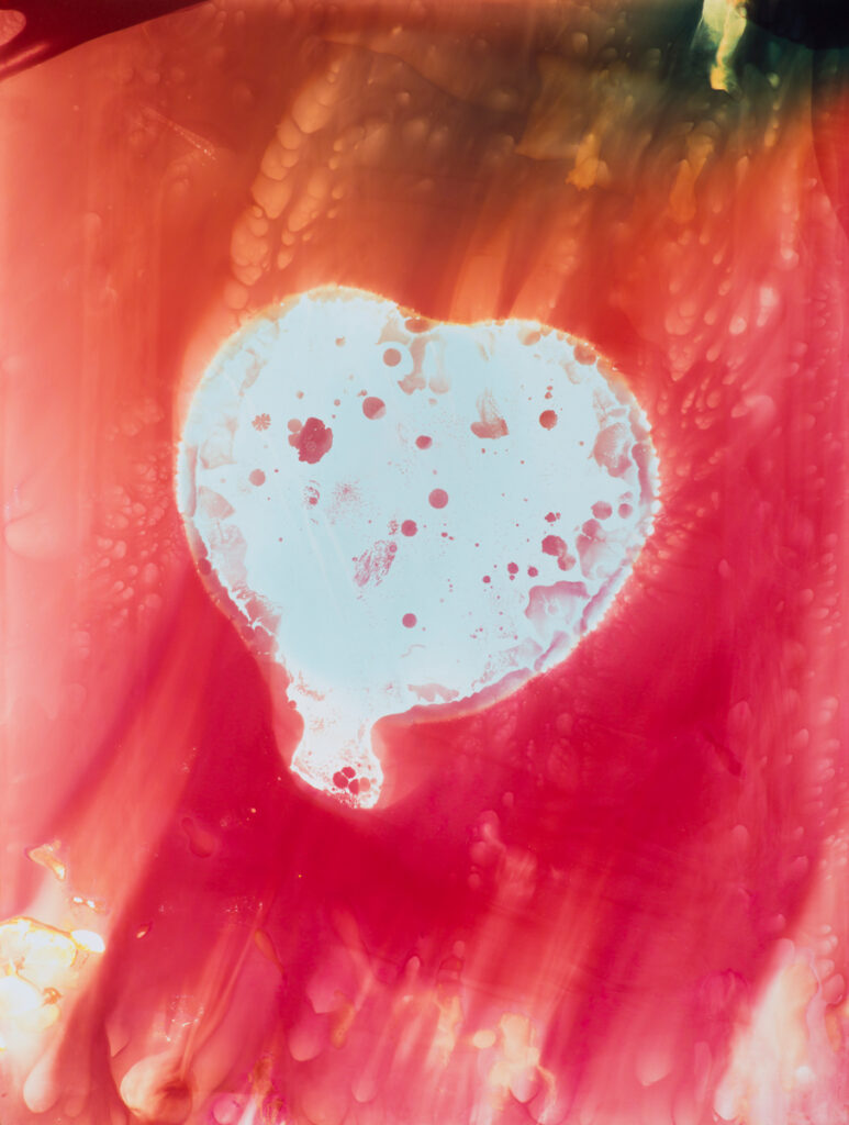 A la rose_Expanded drops©Christelle Boulé