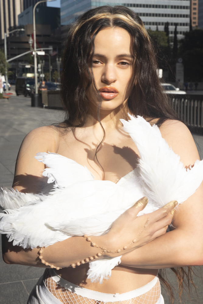 rosalia lux 2025 imagerie religieuse