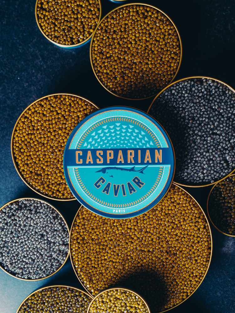 Sohrab Bahar © Odieux Bobby.